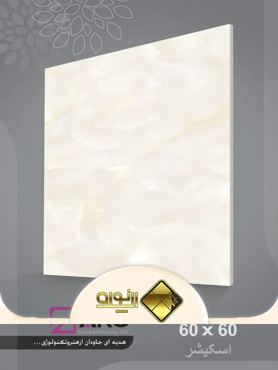 اسکیشر 6060 ارگ درجه 2